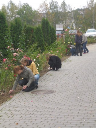 Pola nadziei 2008 - zdjęcie #2