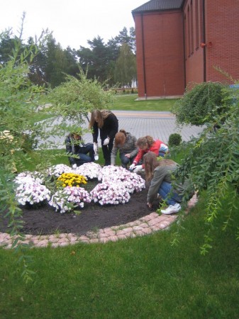 Pola nadziei 2008 - zdjęcie #3