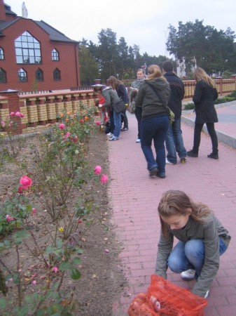 Pola nadziei 2008 - zdjęcie #4