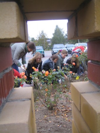 Pola nadziei 2008 - zdjęcie #8