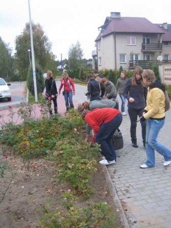 Pola nadziei 2008 - zdjęcie #10