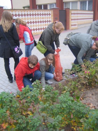 Pola nadziei 2008 - zdjęcie #12