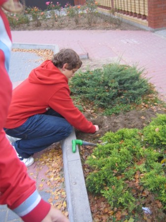 Pola nadziei 2008 - zdjęcie #16