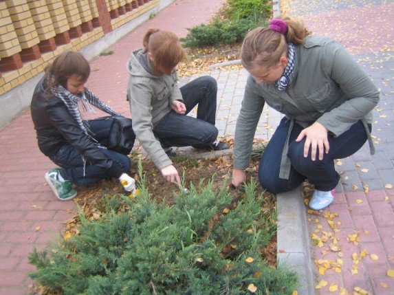 Pola nadziei 2008 - zdjęcie #18