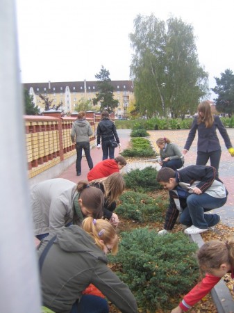 Pola nadziei 2008 - zdjęcie #19