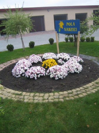 Pola nadziei 2008 - zdjęcie #1