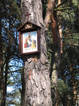 Droga Krzyżowa w plenerze - zdjęcie #13