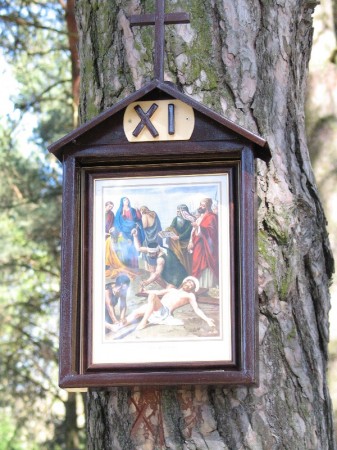 Droga Krzyżowa w plenerze - zdjęcie #11