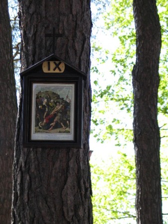 Droga Krzyżowa w plenerze - zdjęcie #9