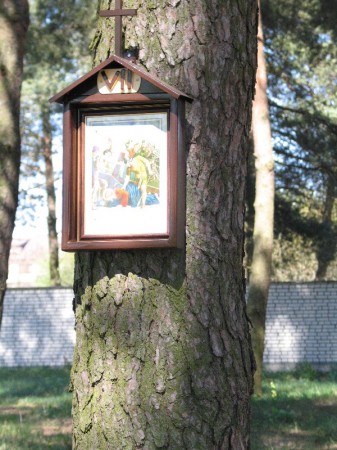 Droga Krzyżowa w plenerze - zdjęcie #7