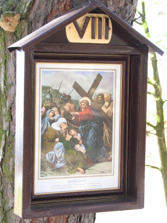 Droga Krzyżowa w plenerze - zdjęcie #8