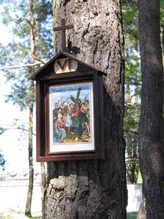 Droga Krzyżowa w plenerze - zdjęcie #6