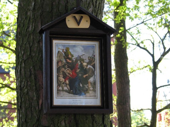 Droga Krzyżowa w plenerze - zdjęcie #5