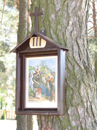 Droga Krzyżowa w plenerze - zdjęcie #3