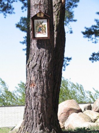 Droga Krzyżowa w plenerze - zdjęcie #2