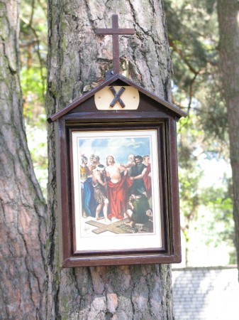 Droga Krzyżowa w plenerze - zdjęcie #10