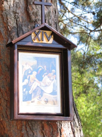 Droga Krzyżowa w plenerze - zdjęcie #14