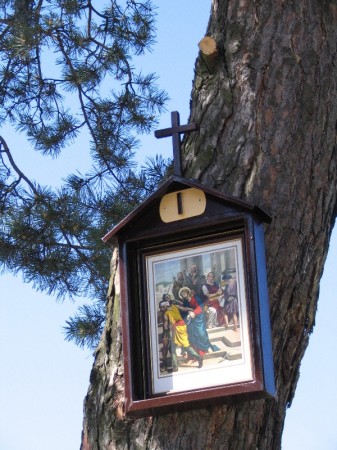 Droga Krzyżowa w plenerze - zdjęcie #1