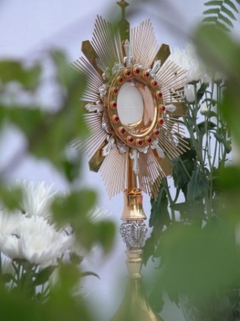 Boże Ciało 2009 - zdjęcie #30