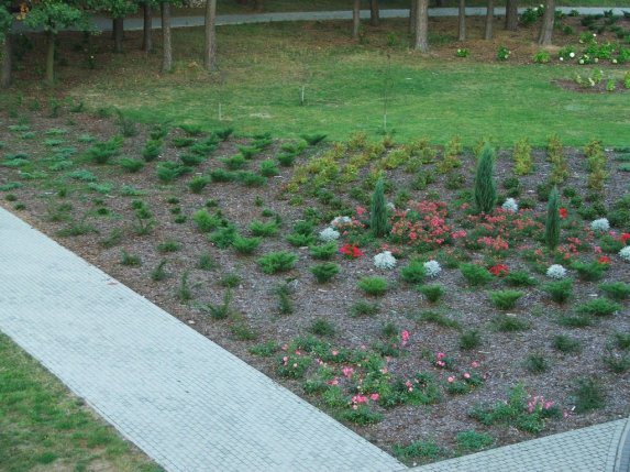 ogród parafialny - zdjęcie #5