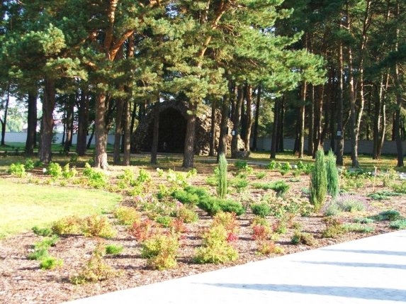 ogród parafialny - zdjęcie #15