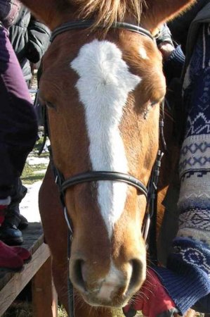 Tuż przed końcem zimy... - zdjęcie #45