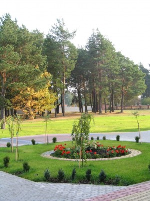 Kościół parafialny - zdjęcie #14