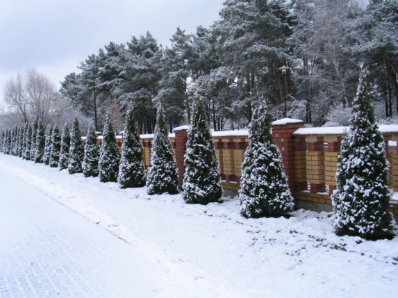 Kościół parafialny - zdjęcie #55