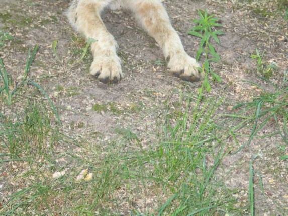 Niedozwolone zdjęcia z pielgrzymki 2006 - zdjęcie #10