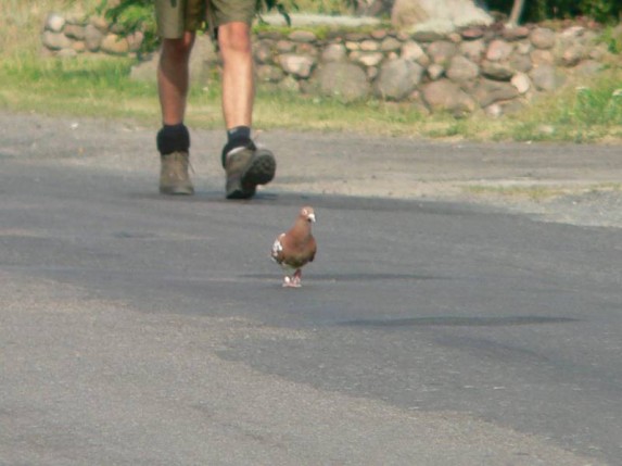 Niedozwolone zdjęcia z pielgrzymki 2006 - zdjęcie #33