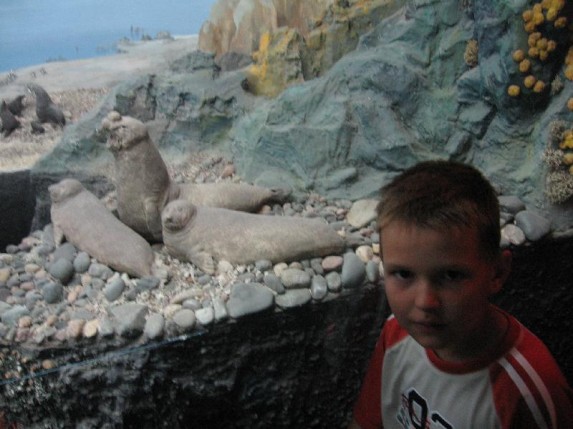 Kolonie w Władysławowo 3-14.07.2006 - zdjęcie #18