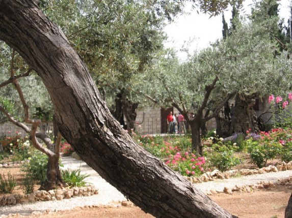 Ziemia Święta czerwiec 2006 - zdjęcie #2