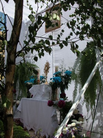 Boże Ciało 7.06.2007 - zdjęcie #18